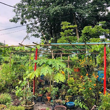 Atocha Homestay - Terong@Taiping Kampong Salak Eksteriør billede