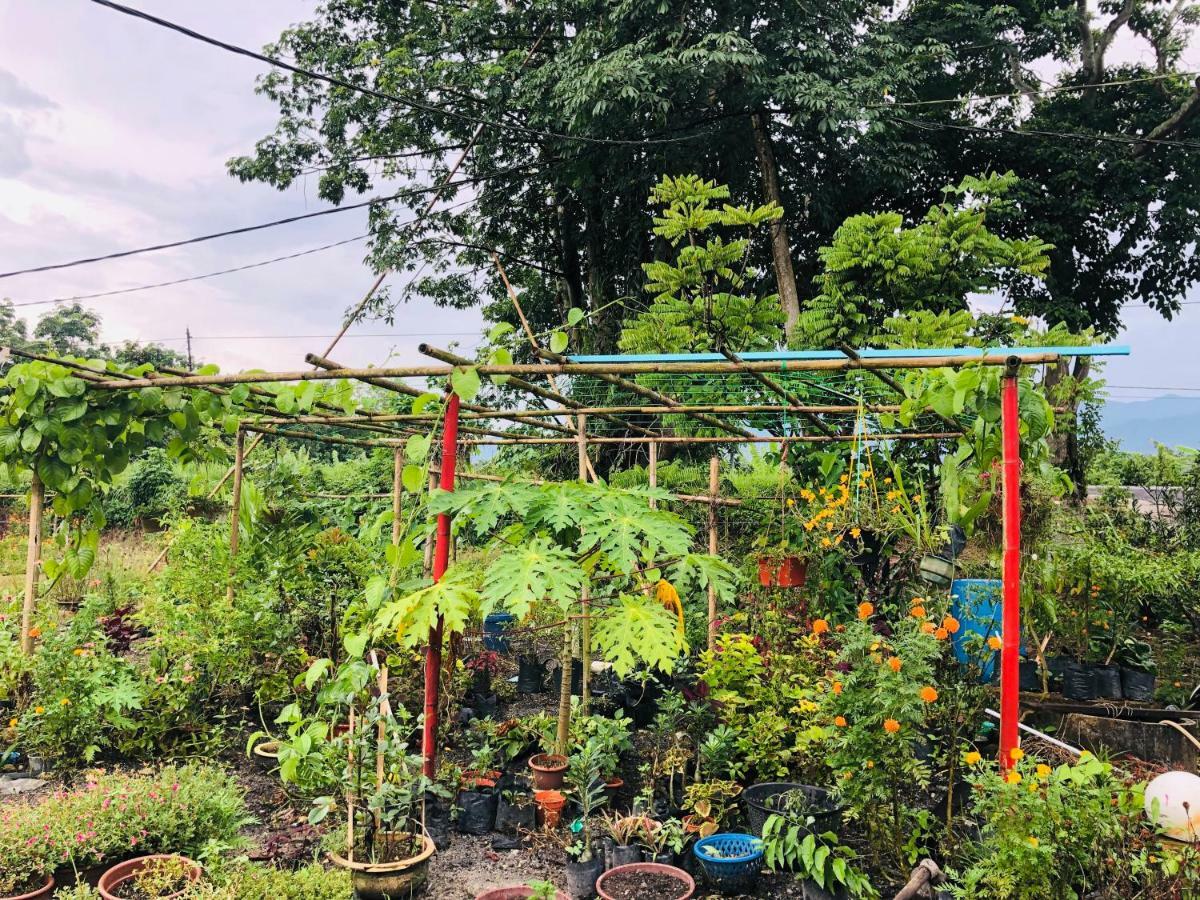 Atocha Homestay - Terong@Taiping Kampong Salak Eksteriør billede